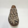 PARIZ – Image 2