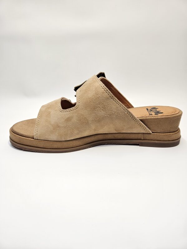 HOCCO – Image 3