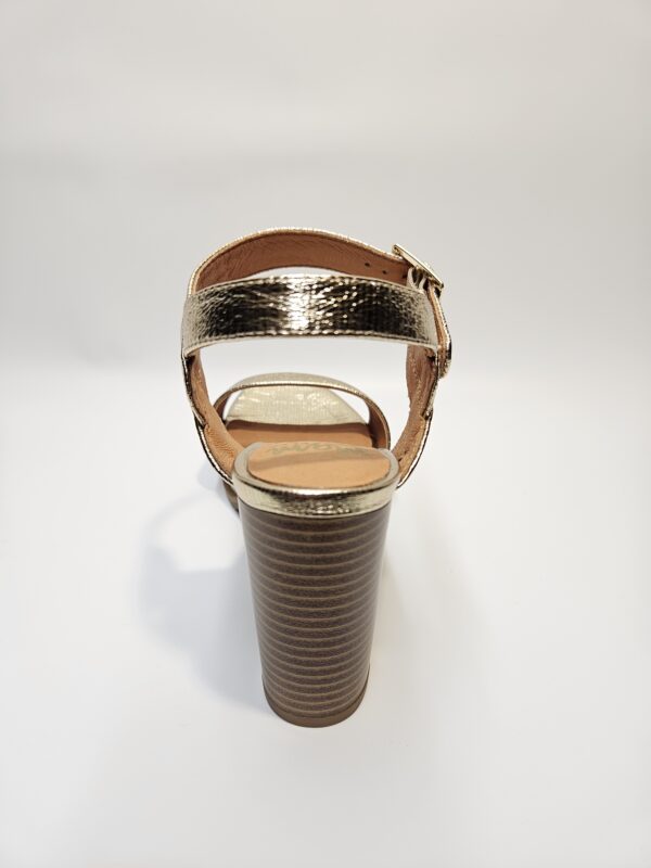 JAINE25 – Image 4
