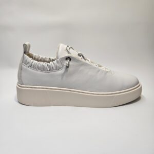 TEXANE25