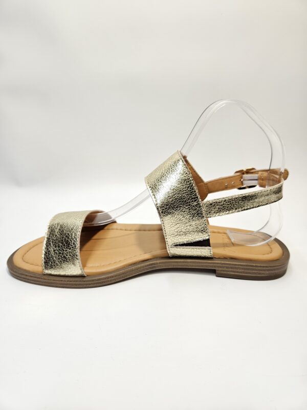 TICAO – Image 7