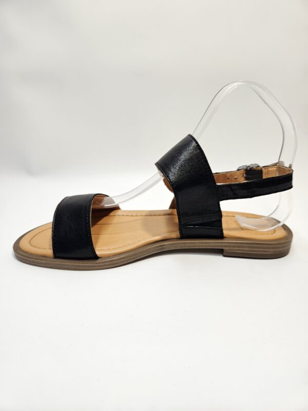 TICAO – Image 3
